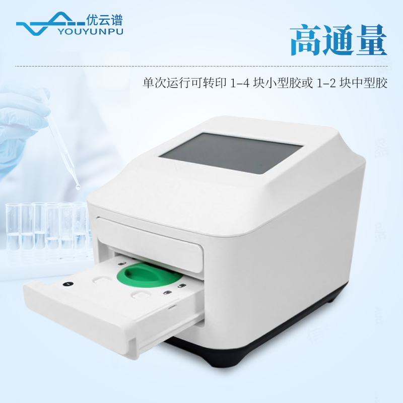 全能蛋白转印系统
